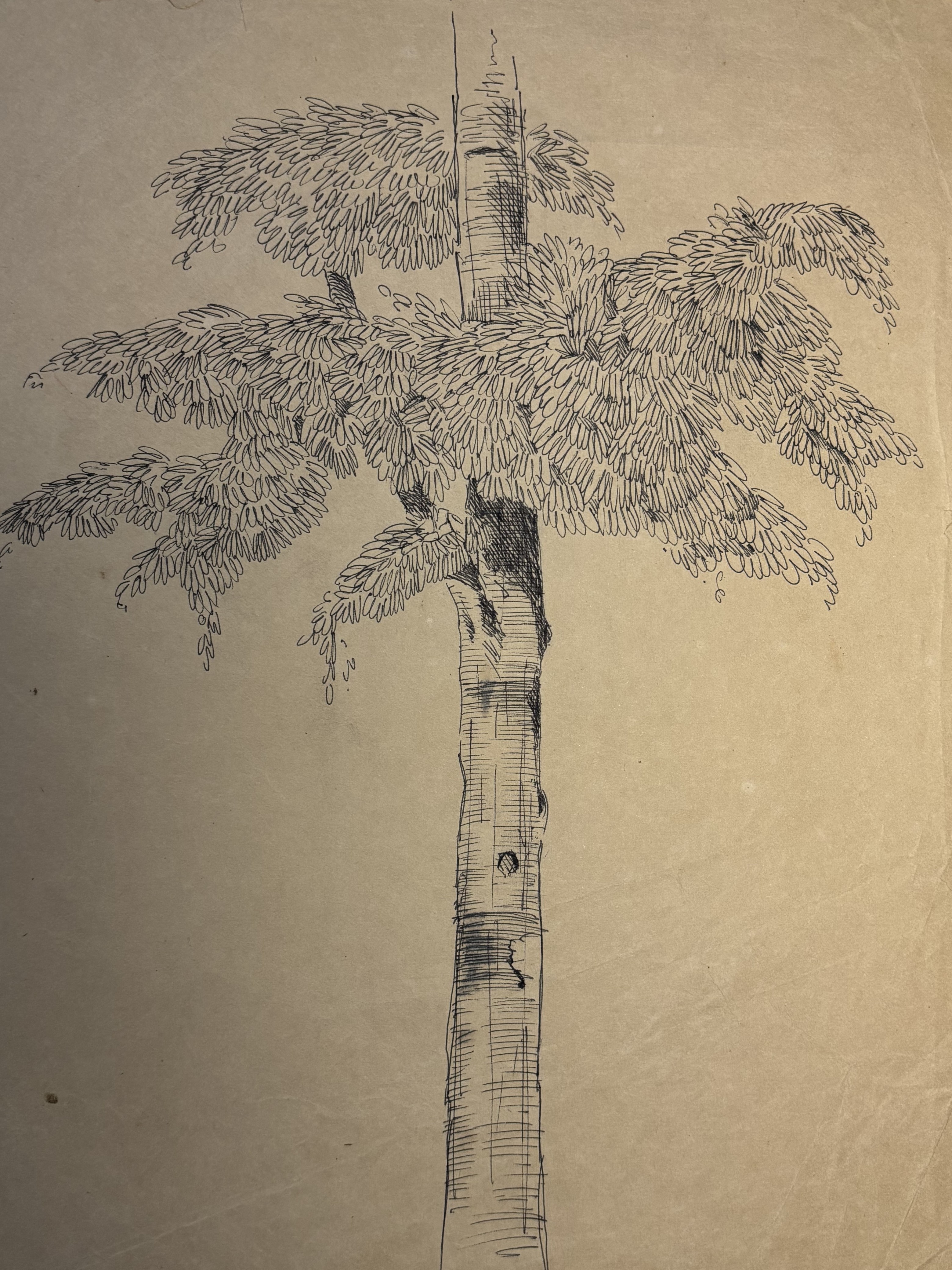 Pencil landscape VI, 1998